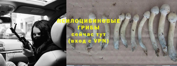 не бодяженный Баксан