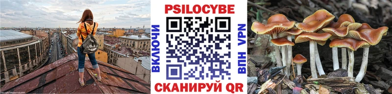 Купить где  Перевоз  Галлюциногенные грибы Cubensis 