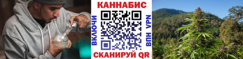 Купить закладки  Перевоз  Бошки Шишки ГИДРОПОН 